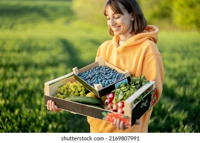 Cheerful woman carrying boxes with fresh juicy berries, fruits and vegetables on farmland. Concept of healthy food and local farming