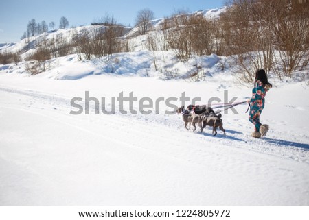 Cheerful woman owner walking with her dogs outdoors on snow in sunny winter day.