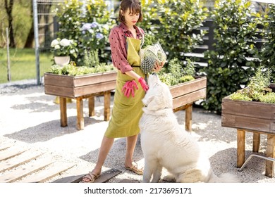 Cheerful Woman Stands With Her White Dog At Home Garden In Backyard. Concept Of Home Growing Food And Leisure Time With Pets