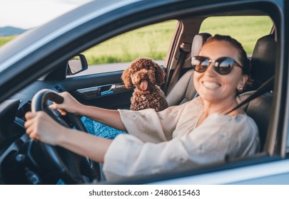 Cheerful woman with sunglasses drives car accompanied by her adorable Maltipoo dog, who sits in passenger seat, happily panting. scene captures the joy and companionship of summer road trip together. - Powered by Shutterstock