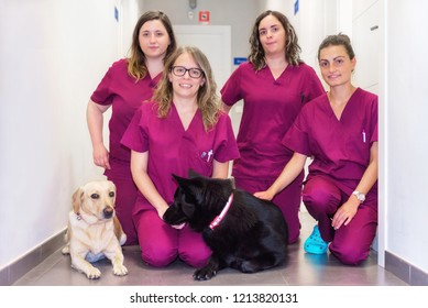 Cheerful Woman Veterinary Team With Her Pets