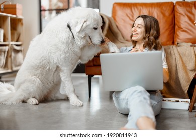 House Sitting Images, Stock Photos &amp; Vectors | Shutterstock