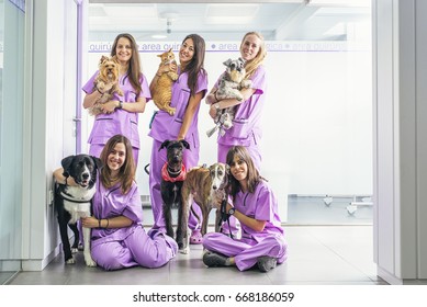 Cheerful Women Team Veterinary Holding Her Pets. Veterinary Concept.