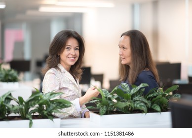 Cheerful women working in office.