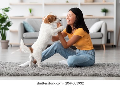 Cheerful Young Asian Woman Training Her Fluffy Dog Jack Russel Terrier At Home, Giving Treats For Success And Smiling, Side View, Copy Space. Obedience Training For Dogs Concept