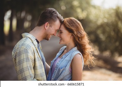 Cheerful young couple embracing at olive farm on sunny day - Powered by Shutterstock