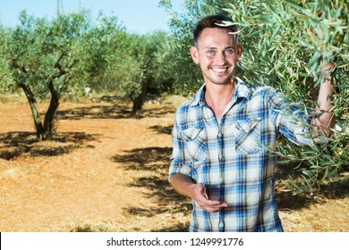 Cheerful young positive man gardener standing in olive tree garden on sunny day - Powered by Shutterstock