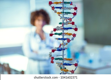 Cheerful young scientist looking at the big white model of a DNA chain, focus on DNA chain - Powered by Shutterstock