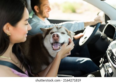 Cheerful young woman petting a smiling husky dog while traveling by car to a vacation spot