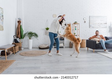 cheerful young woman playing with akita inu dog near bearded boyfriend with cup of coffee sitting on couch - Shutterstock ID 2140312717
