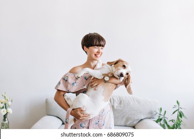 Cheerful Young Woman In Trendy Wristwatch Holding Her Big Puppy With Black Nose And Laughing. Indoor Portrait Of Smiling Girl With Dark Short Hair Posing With Beagle Dog On Gray Background At Home.