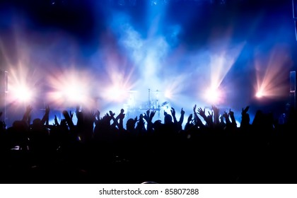 cheering crowd at concert