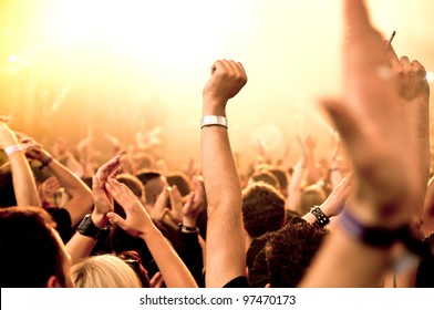 Cheering Crowd At Concert