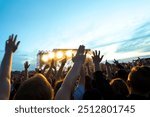 cheering crowd at a rock concert