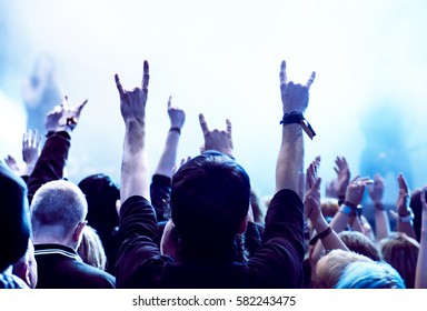 Cheering Crowd At A Rock Concert