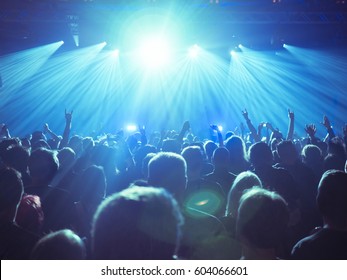 Cheering Crowd At A Rock Concert