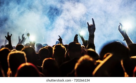 Cheering Crowd At A Rock Concert