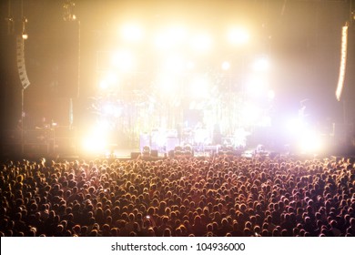 Cheering Crowds In A Rock Concert