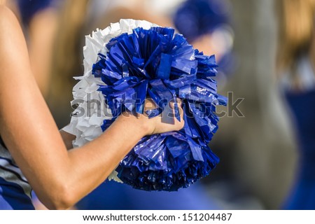 Cheerleader pom poms