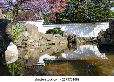 Cheery Blossom At Fairmount Park