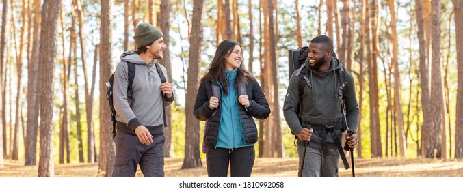 Cheery multiracial friends backpacking together by pine forest, panorama with copy space