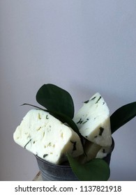 Cheese Bricks On White Background With Italian Ruscus Leaves