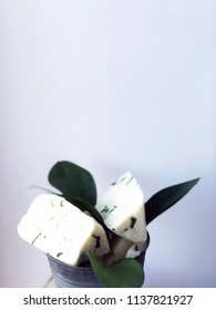 Cheese Bricks On White Background With Italian Ruscus Leaves