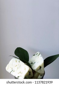 Cheese Bricks On White Background With Italian Ruscus Leaves