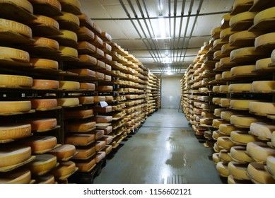 Cheese Cellar For Ripening