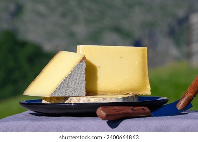 Cheese collection, French cow cheese comte, beaufort, abondance and snowy tops of french Aples mountains village in summer in Haute-Savoie on background