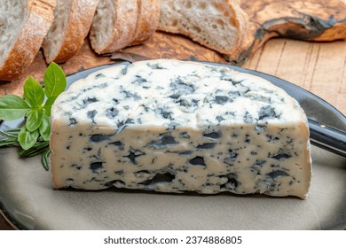 Cheese collection, piece of French blue cheese auvergne or fourme d'ambert close up with blue mold - Powered by Shutterstock