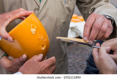 Cheese Degustation At Traditional Cheese Market In Alkmaar Netherlands