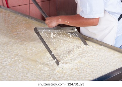 Cheese Factory Worker Moving Fermenting Milk