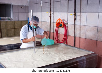 Cheese Factory Worker Processing Fermenting Milk
