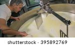 Cheese maker -Traditional cheese making at a creamery,