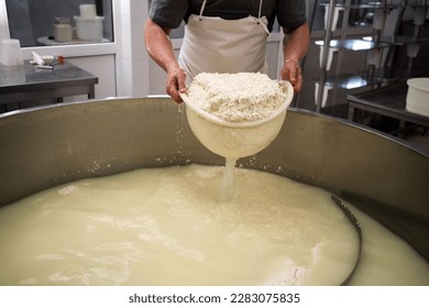 Cheese maker or worker taking curd from tank at cheese factory, closeup. Filtering fermentation milk. Copy space