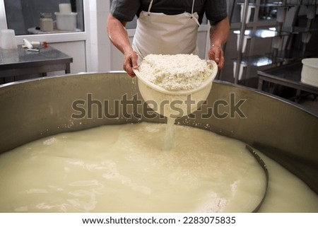 Cheese maker or worker taking curd from tank at cheese factory, closeup. Filtering fermentation milk. Copy space