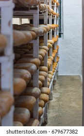 Cheese Making Shelves In Menorca. Spain