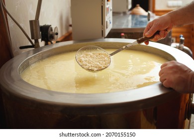 Cheese Production From Milk, Home Business, Food, Eco-friendly And Tasty Products. Serum In A Vat. Cooking