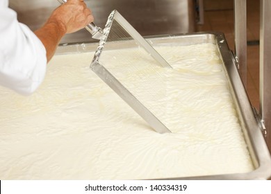 Cheese Production Plant Worker At A Tank Full With Fermenting Milk