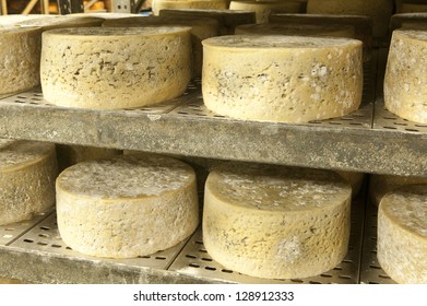 Cheese storage - Shutterstock ID 128912333