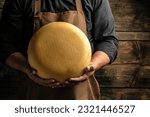 cheesemaker hold big slice of cheese maasdam in hand. Cheese with big holes. head of handcrafted hard cheese. Long banner format. top view.