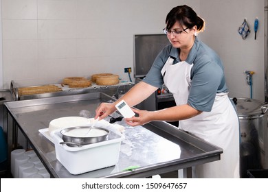 Cheesemaker Measures Temperature Milk Steel Container Stock Photo ...