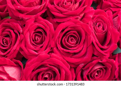 Cheesy Plastic Rose Background Structure