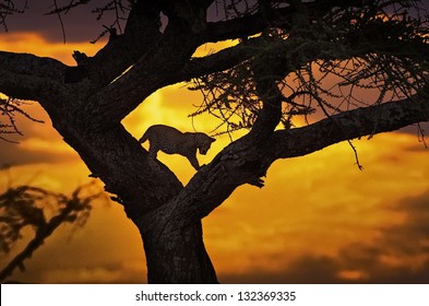 88,330 Masai mara safari Images, Stock Photos & Vectors | Shutterstock