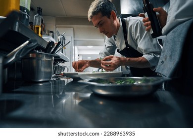 chef assembling plate in a professional kitchen - Powered by Shutterstock