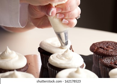 Chef Decorating And Piping Buttercream Icing On Chocolate Filled Chocolate Cupcakes - Bakery