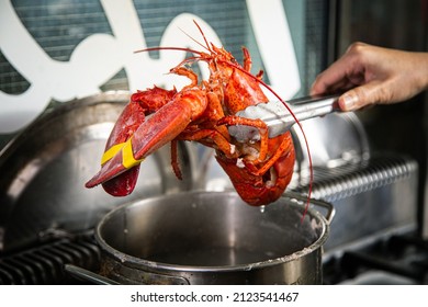 Chef Grab A Cooked Lobster From Cooking Pot