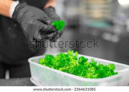chef hands hold green leavs on kitchen