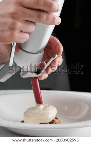 Chef hands using a culinary siphon to add gourmet foam over an appetizer on a white plate. Close-up, fine dining process.